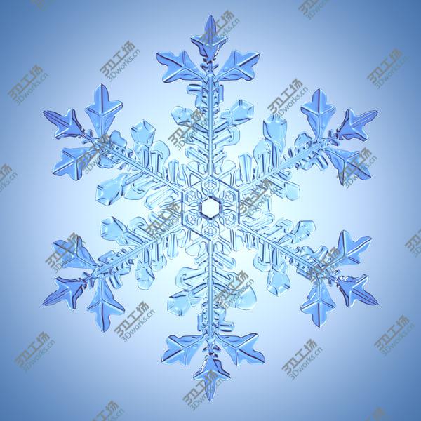 images/goods_img/20210312/Collection of Snowflakes/3.jpg